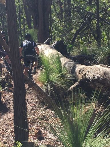 Super log crossing... No thanks