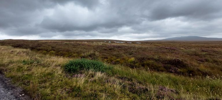 I saw these bags, and wondered what they were for. ?? No-one would fly-tip such similar bags so far off a road in the middle of nowhere.