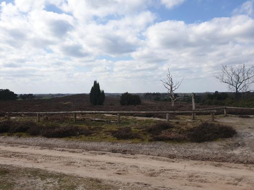 Uitzicht vanaf Lemelerberg