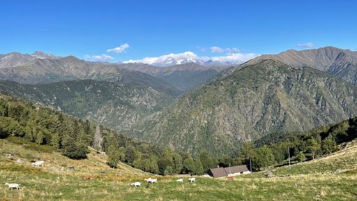 Credo il Rosa (o una sua cima secondaria meridionale) vista da poco prima di Bielmonte