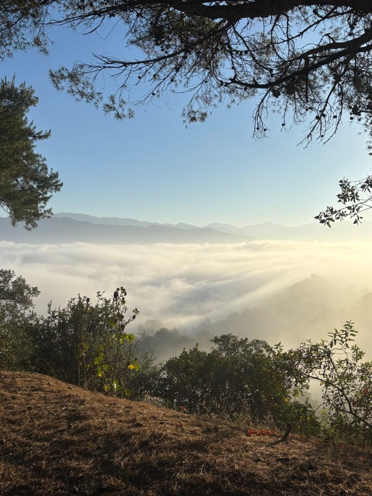 NBB run - Lake Hollywood photo 47