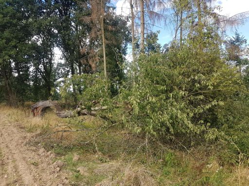 Der Weg ist versperrt. 😃