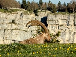 Creux du van, gorges de l’Areuse, retour par le dos d’âne