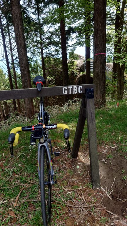 いつもの如く、登り始めると登頂するまで止まらないので写真ありません...