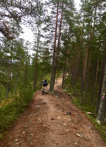 No time to stop and take pics :o