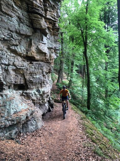 Op avontuur met Alexander