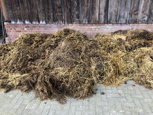 Die Gesamtsituation als Bild 🤷‍♂️