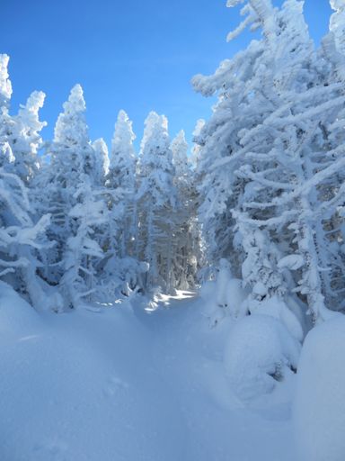 Untouched awesomeness!