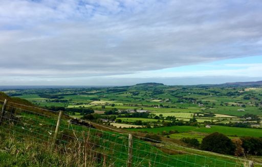 Beautiful and verdant in the autumn sunshine