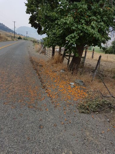 Almost tempting enough to eat... almost.