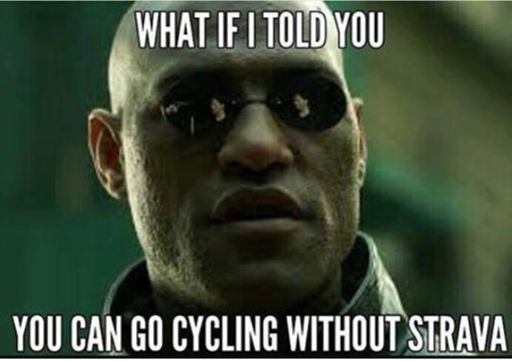 Morpheus, I think you might be wrong this time 😂