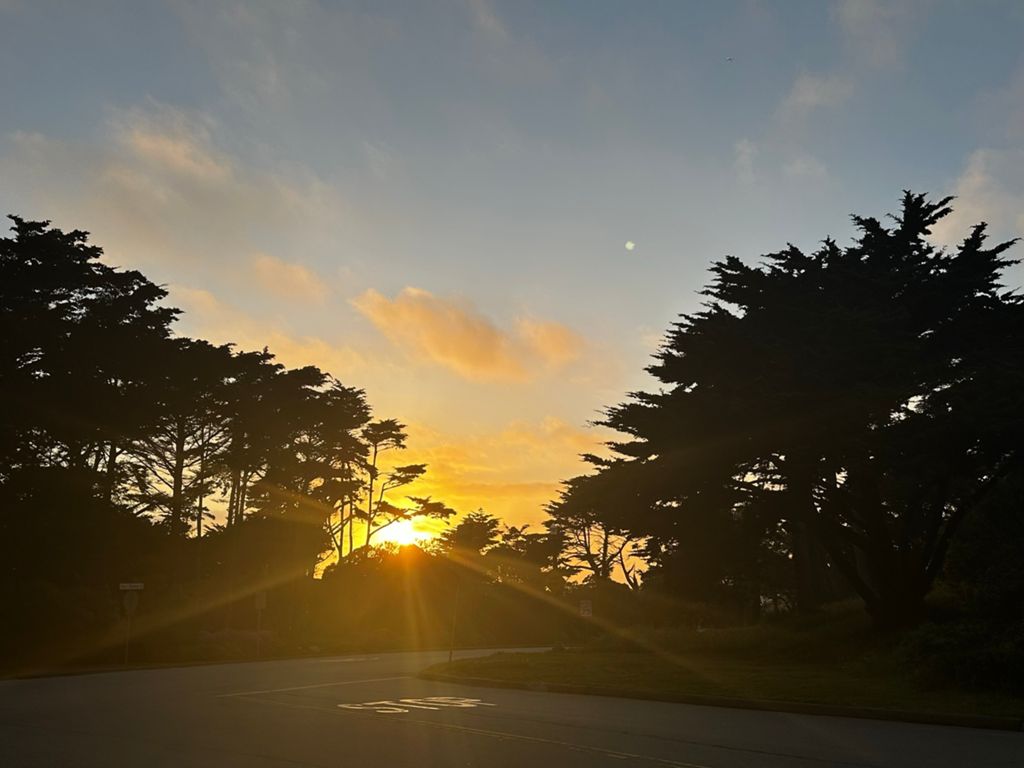 Butterlap (Presidio & Golden Gate Park) photo 158