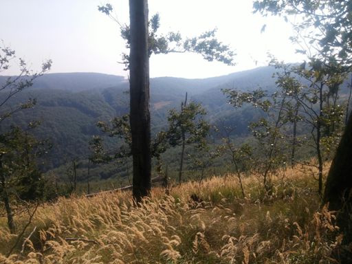 Výhľad na Babu a Čmelok