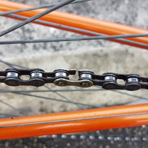 Dat heb ik echt nog nooit meegemaakt!