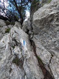 Chöpfenberg Tierberg