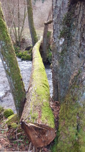 Einfach, aber auch genial  diese Brückenvariante.