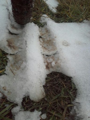 Korrekt konkrete Wintertour