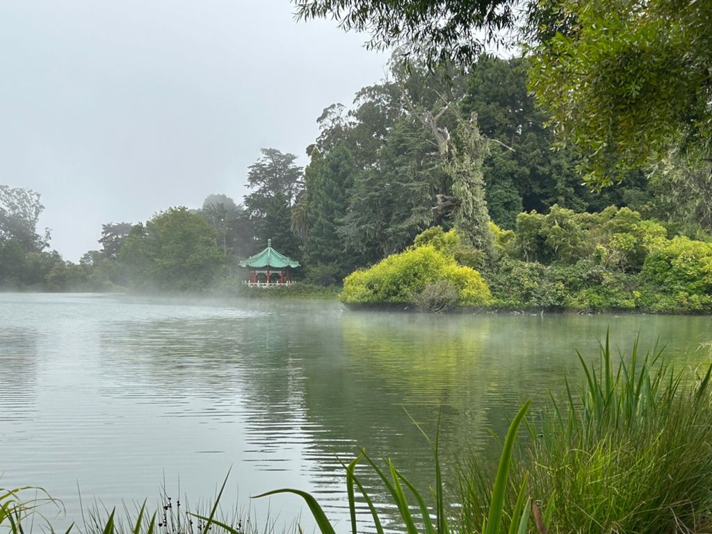 Butterlap (Presidio & Golden Gate Park)的照片 7