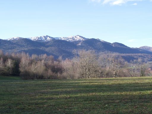 2026.01.15 Pyrénées from Chemin de Cetarrcu, Buzy