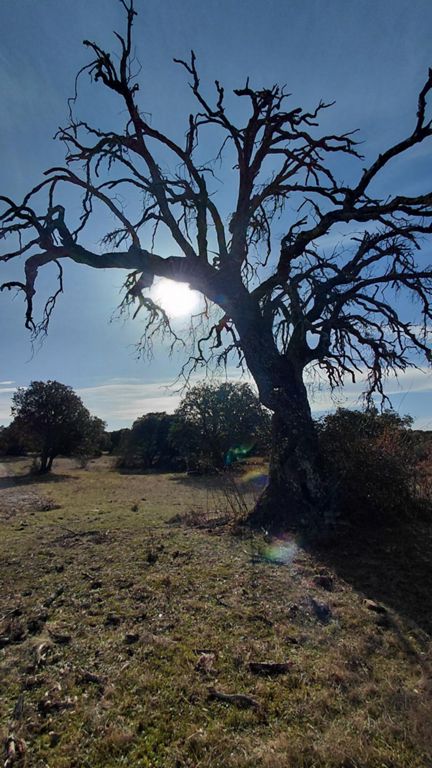 Mirador De La Llanada, Santa Águeda y Santa Catalina desde Trasponte / Trespuentes