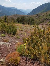 Rando le point sublime des gorges du Daluis