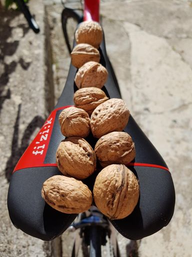 Finito i fichi per strada ... è tempo di noce !