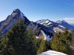 Gotterli, lac des 4 cantons