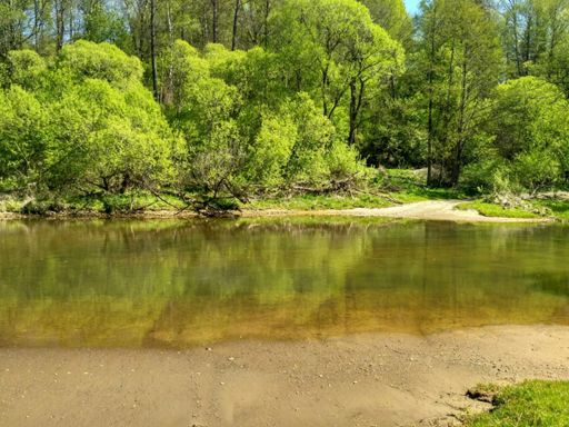 Позитивный брод)))