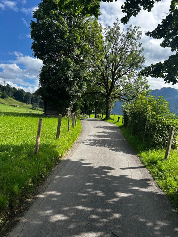 route-highlight