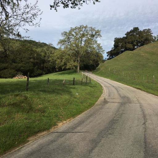 Italian roads?? Nope, Paso Robles. Just gorgeous and not a car in sight. Thought I was lost for a minute.