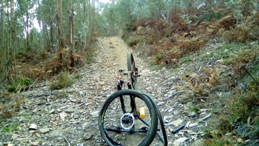 Vinha a dar-lhe pela serra de Lordelo abaixo