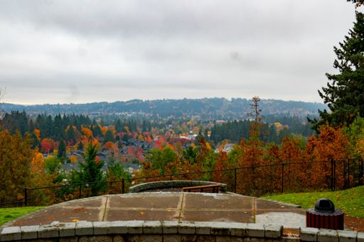 Beautiful everywhere you look