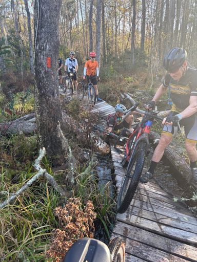 Cameron down! Sketchy boardwalk crossing, damaged by a fallen tree. 