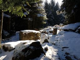 L’Ormont avec Fabien