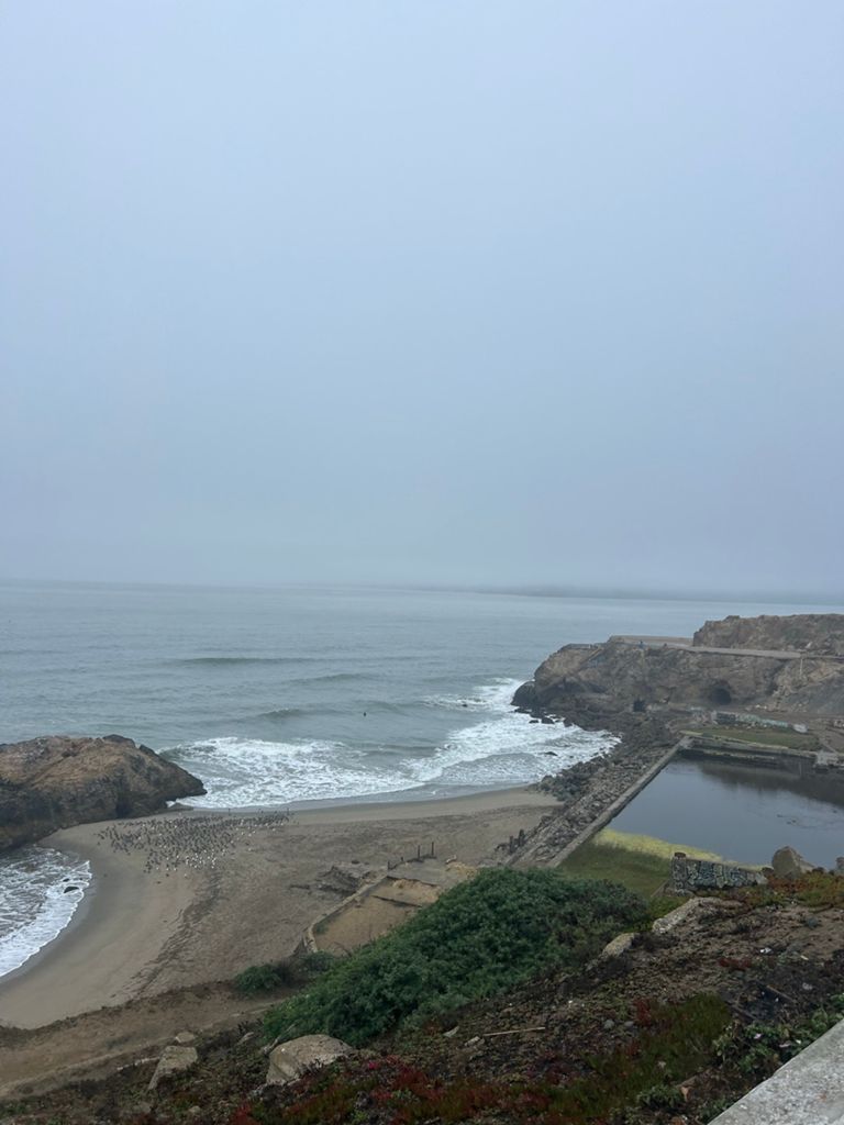 Butterlap (Presidio & Golden Gate Park) photo 171