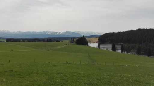Eschacher Weiher