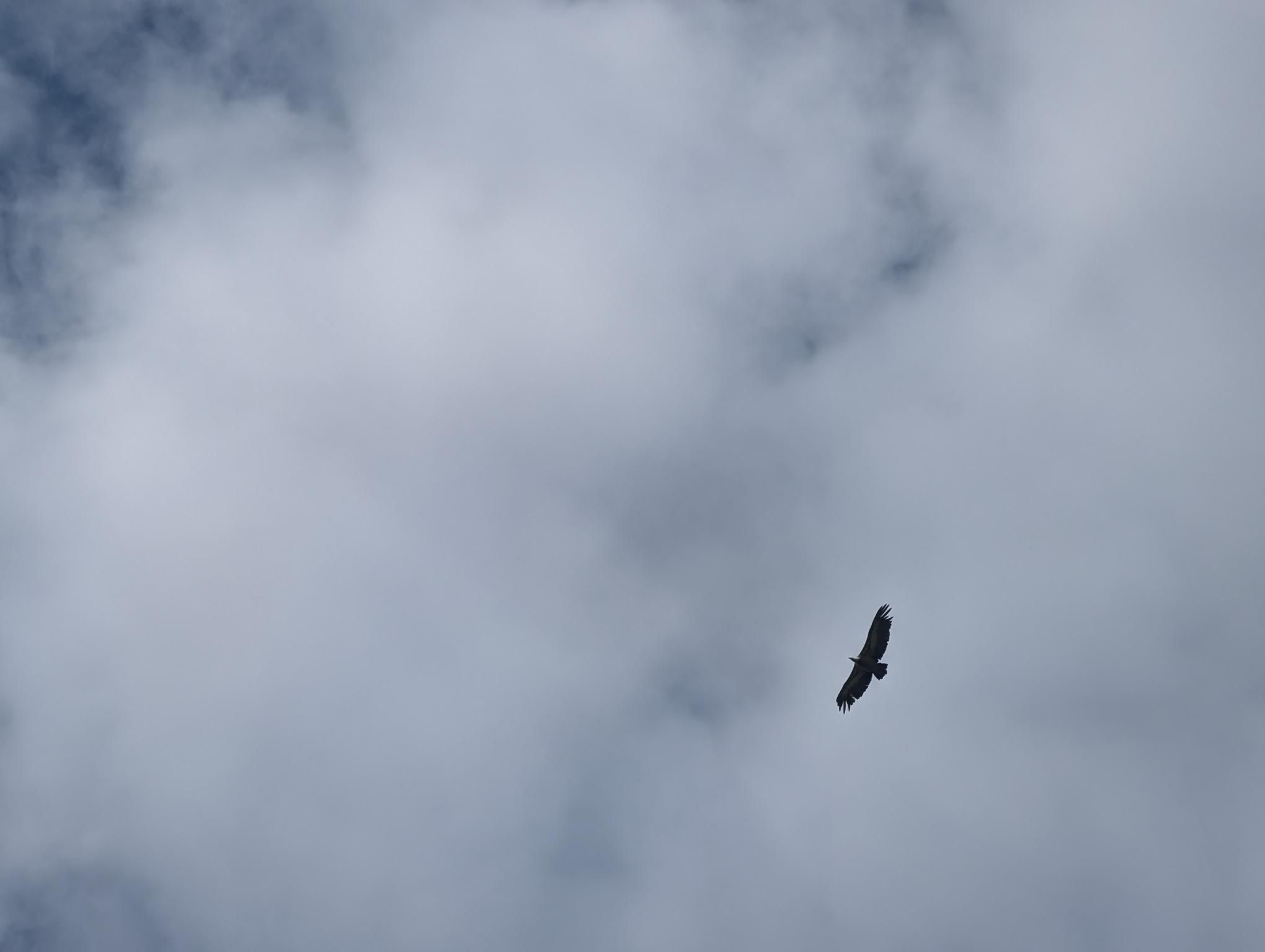 GR5 Part 1 - Day 3 photo 9