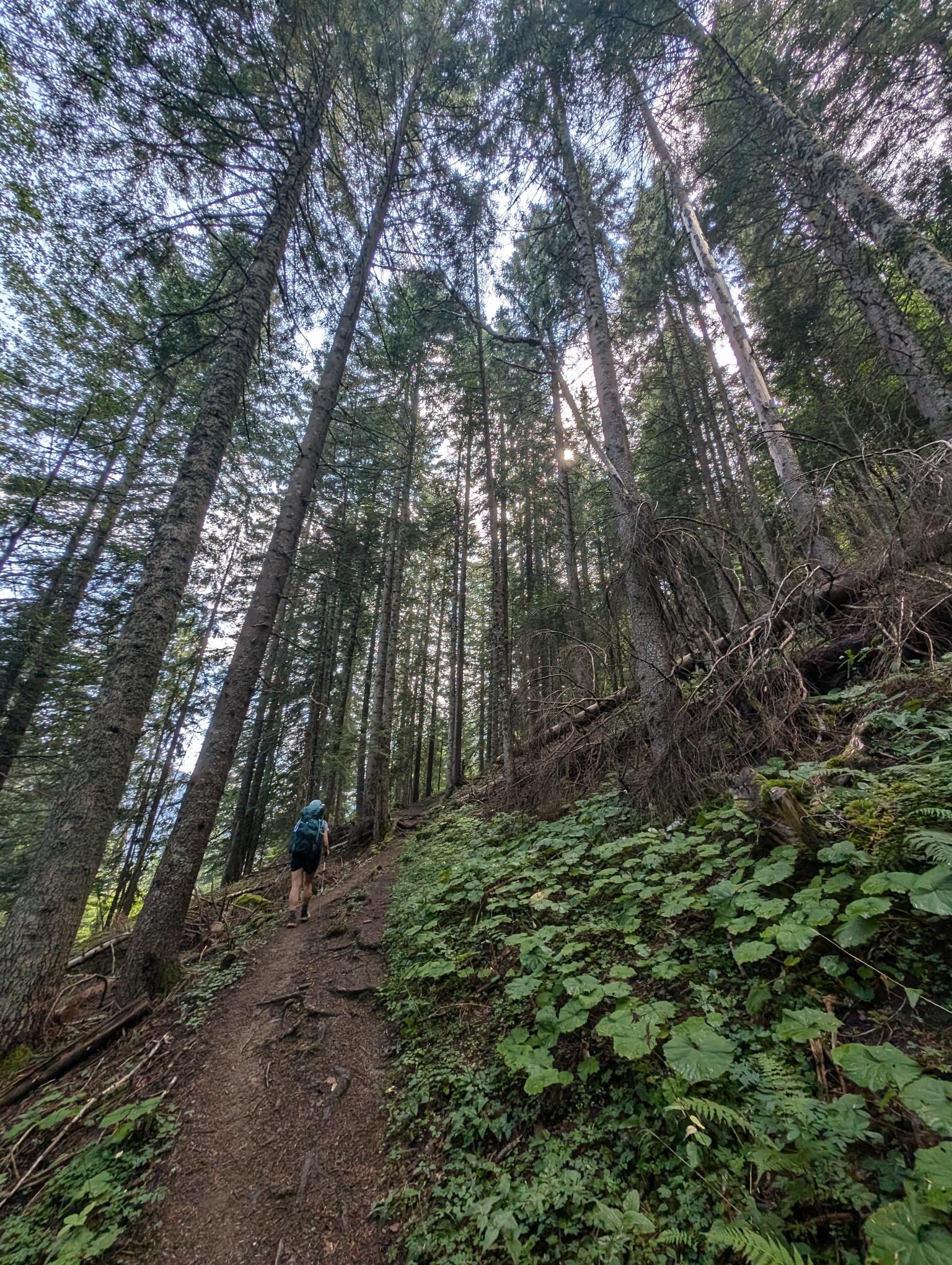 GR5 Part 1 - Day 2 photo 10