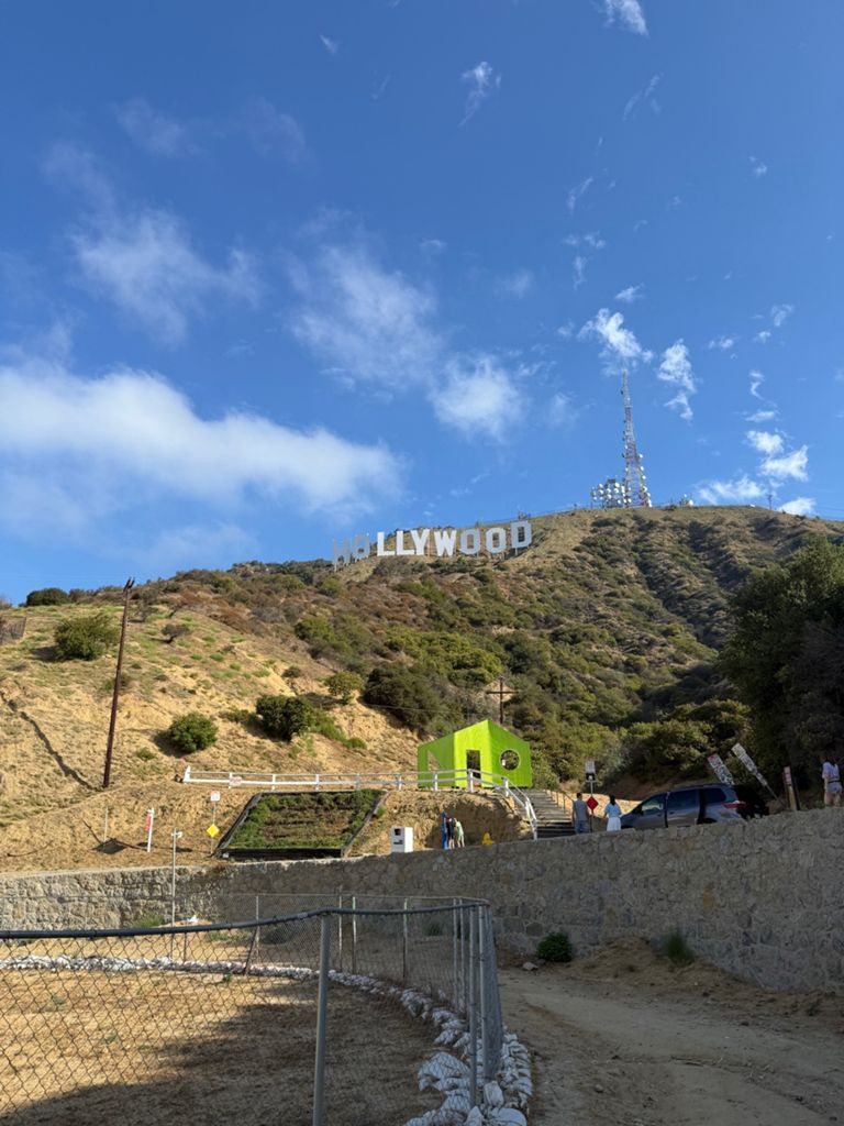 NBB run - Lake Hollywood: фото 139