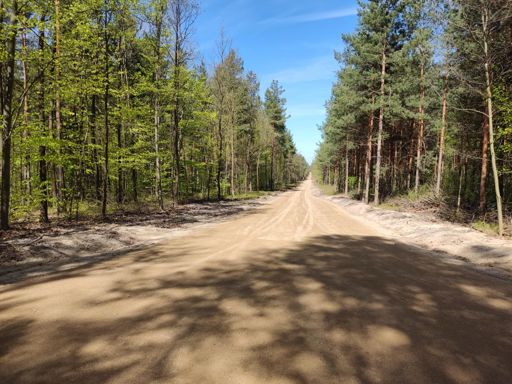 Szutry premium w lesie koło Huciska