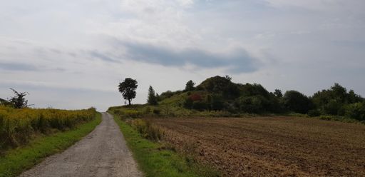 Chyba najwyższy punkt tej wycieczki