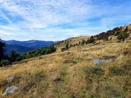 Metzeral au Petit Ballon