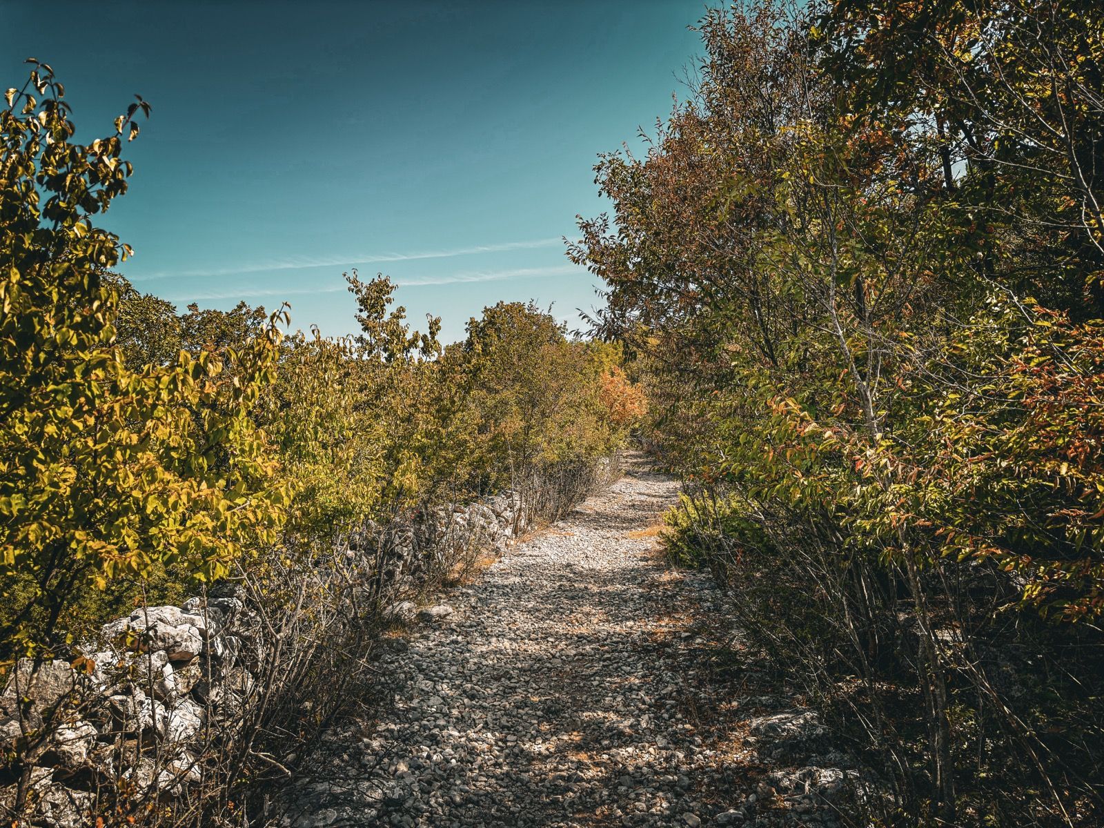 Ride Image 6