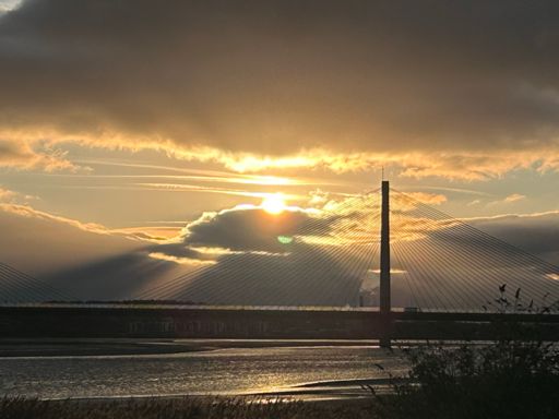 They say never take photos into the sun ? 