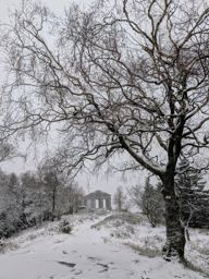 Hiver indien au Donon