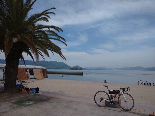 子供たちが、遊びに来ていた
大好きな場所から