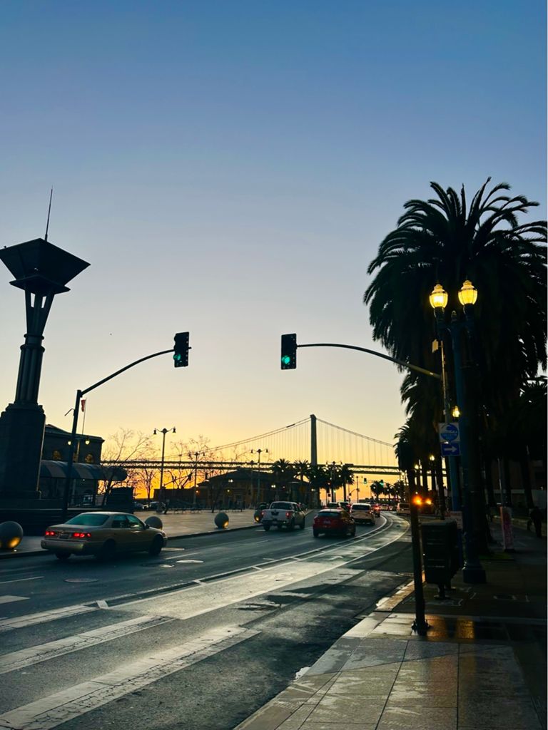 Butterlap (Presidio & Golden Gate Park) photo 132