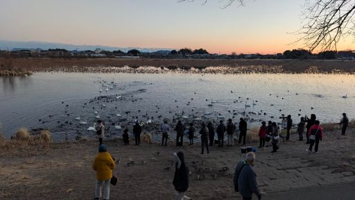 初日の出待ちの人も含めて、結構な人出