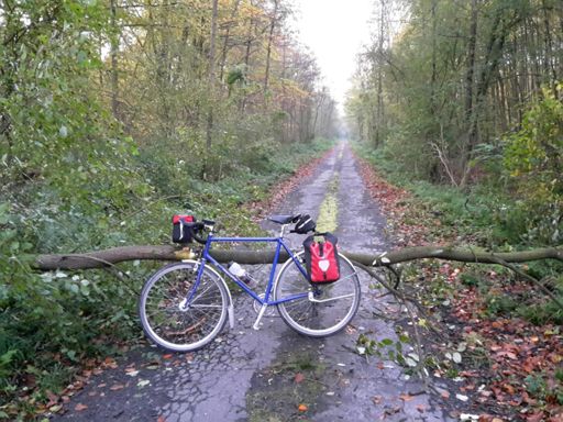 Hindernis im Villewald