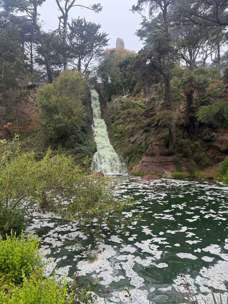 Butterlap (Presidio & Golden Gate Park) photo 52